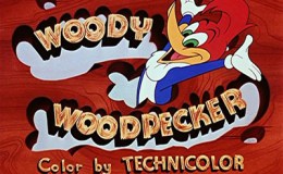 Woody Woodpecker – Knock&nbsp;Knock